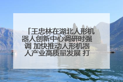 王忠林在湖北人形机器人创新中心调研时强调 加快推动人形机器人产业高质量发展 打造具有全国影响力的研发创新基地