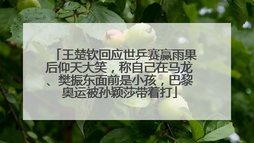 王楚钦回应世乒赛赢雨果后仰天大笑，称自己在马龙、樊振东面前是小孩，巴黎奥运被孙颖莎带着打