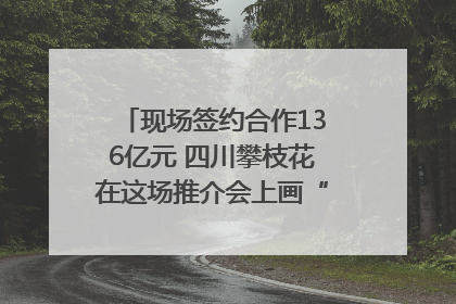 现场签约合作136亿元 四川攀枝花在这场推介会上画“图谱”列“清单”