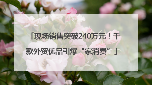 现场销售突破240万元！千款外贸优品引爆“家消费”