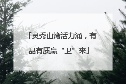 灵秀山湾活力涌，有品有质赢“卫”来