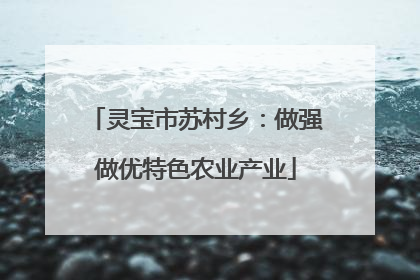 灵宝市苏村乡：做强做优特色农业产业
