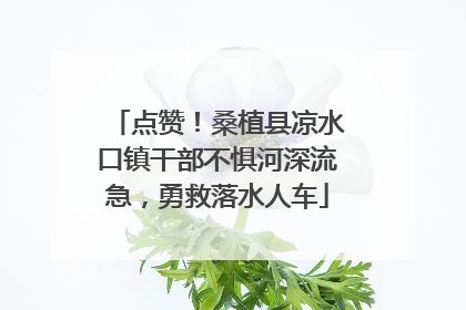 点赞！桑植县凉水口镇干部不惧河深流急，勇救落水人车