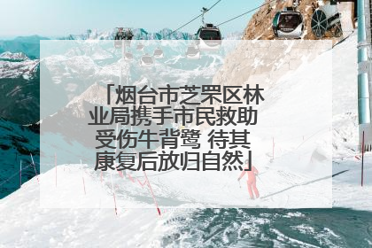 烟台市芝罘区林业局携手市民救助受伤牛背鹭 待其康复后放归自然