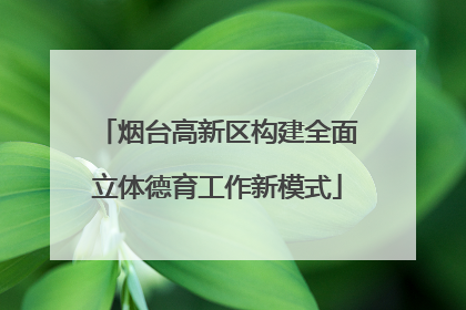 烟台高新区构建全面立体德育工作新模式