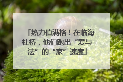 热力值满格！在临海杜桥，他们跑出“爱与法”的“家”速度