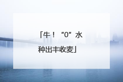 牛！“0”水种出丰收麦