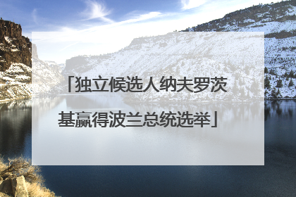 独立候选人纳夫罗茨基赢得波兰总统选举