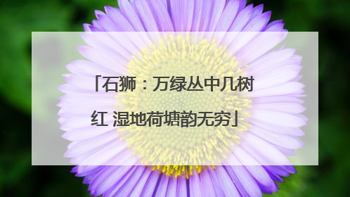 石狮：万绿丛中几树红 湿地荷塘韵无穷