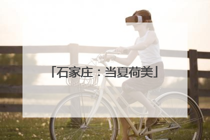 石家庄：当夏荷美
