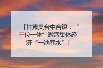 甘肃灵台中台镇：“三位一体”激活集体经济“一池春水”