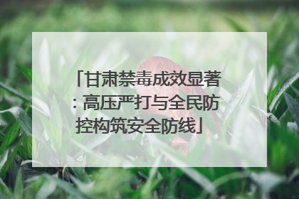 甘肃禁毒成效显著：高压严打与全民防控构筑安全防线