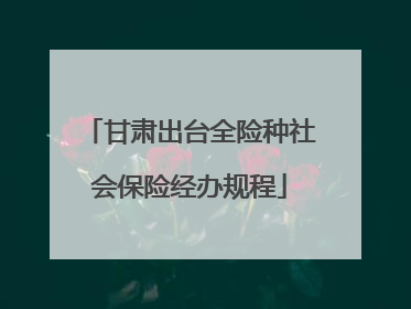 甘肃出台全险种社会保险经办规程
