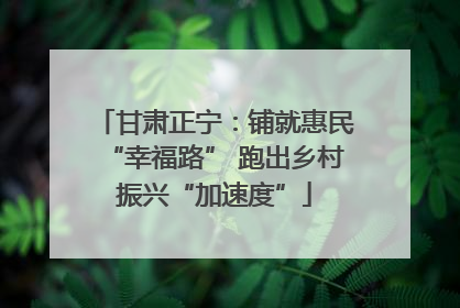 甘肃正宁：铺就惠民“幸福路” 跑出乡村振兴“加速度”