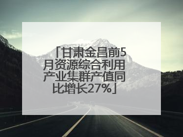 甘肃金昌前5月资源综合利用产业集群产值同比增长27%