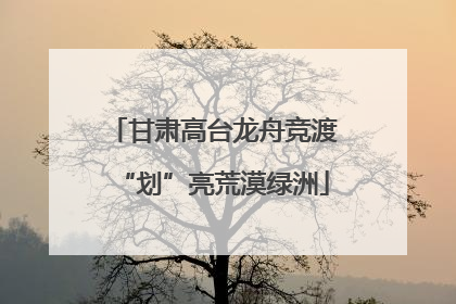 甘肃高台龙舟竞渡“划”亮荒漠绿洲
