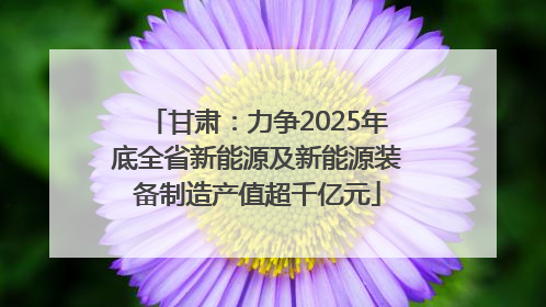 甘肃：力争2025年底全省新能源及新能源装备制造产值超千亿元