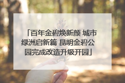 百年金碧焕新颜 城市绿洲启新篇 昆明金碧公园完成改造升级开园