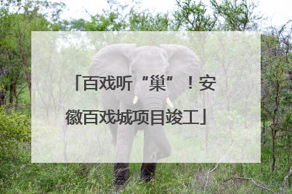 百戏听“巢”！安徽百戏城项目竣工