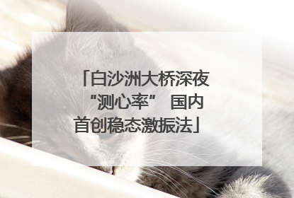 白沙洲大桥深夜“测心率” 国内首创稳态激振法