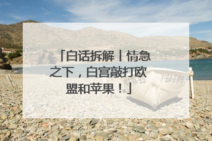 白话拆解丨情急之下，白宫敲打欧盟和苹果！