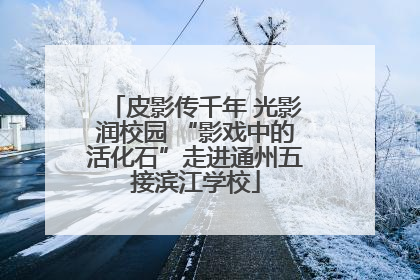 皮影传千年 光影润校园 “影戏中的活化石”走进通州五接滨江学校