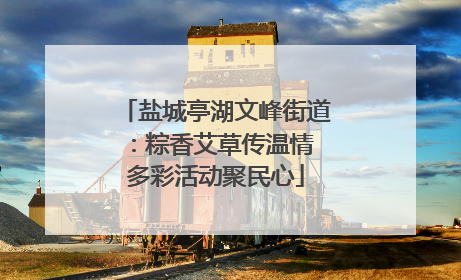 盐城亭湖文峰街道：粽香艾草传温情 多彩活动聚民心
