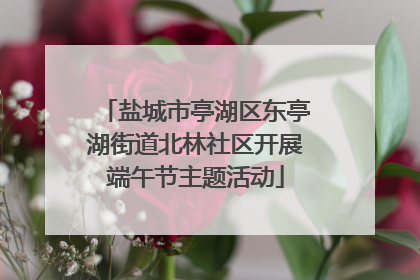 盐城市亭湖区东亭湖街道北林社区开展端午节主题活动