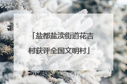 盐都盐渎街道花吉村获评全国文明村