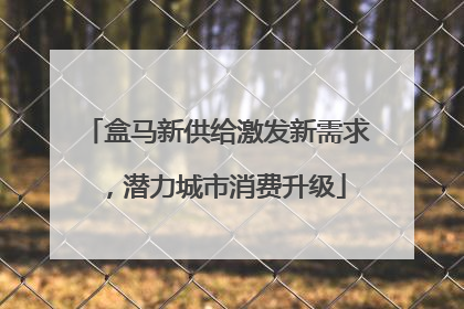 盒马新供给激发新需求，潜力城市消费升级