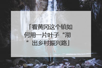 看黄冈这个镇如何用一片叶子“沏”出乡村振兴路