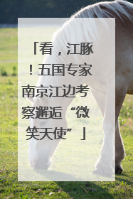 看，江豚！五国专家南京江边考察邂逅“微笑天使”