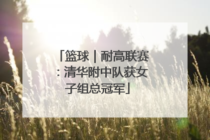 篮球｜耐高联赛：清华附中队获女子组总冠军