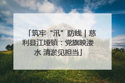 筑牢“汛”防线｜慈利县江垭镇：党旗映溇水 清淤见担当