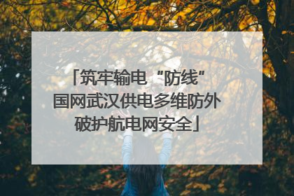 筑牢输电“防线” 国网武汉供电多维防外破护航电网安全