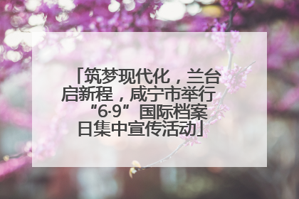 筑梦现代化，兰台启新程，咸宁市举行“6·9”国际档案日集中宣传活动