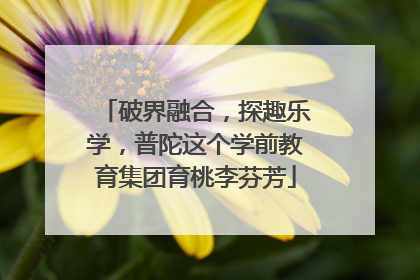 破界融合，探趣乐学，普陀这个学前教育集团育桃李芬芳