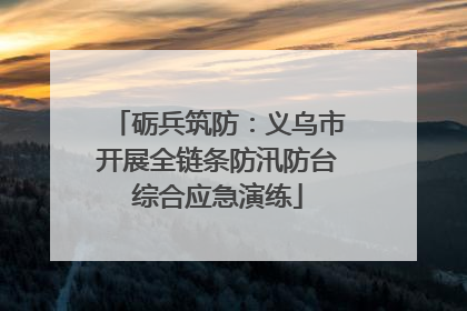 砺兵筑防：义乌市开展全链条防汛防台综合应急演练