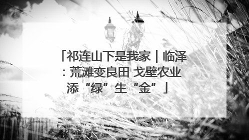 祁连山下是我家｜临泽：荒滩变良田 戈壁农业添“绿”生“金”