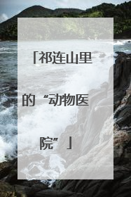 祁连山里的“动物医院”