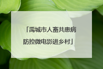 禹城市人畜共患病防控微电影进乡村