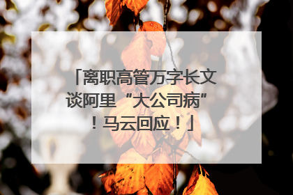 离职高管万字长文谈阿里“大公司病”！马云回应！