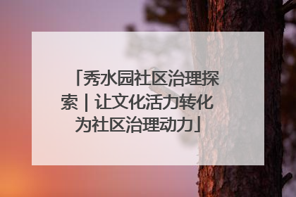 秀水园社区治理探索｜让文化活力转化为社区治理动力