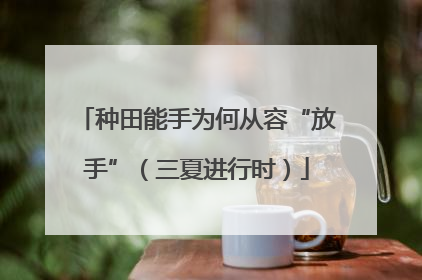 种田能手为何从容“放手”（三夏进行时）