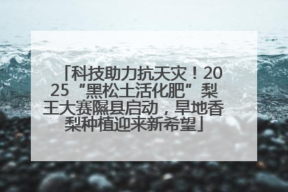 科技助力抗天灾！2025“黑松土活化肥”梨王大赛隰县启动，旱地香梨种植迎来新希望