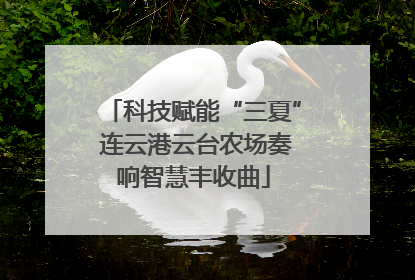 科技赋能“三夏” 连云港云台农场奏响智慧丰收曲