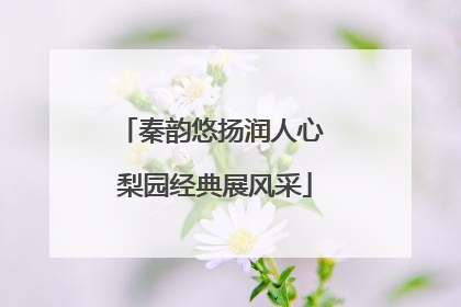 秦韵悠扬润人心 梨园经典展风采