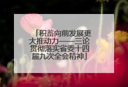 积蓄向前发展更大推动力——三论贯彻落实省委十四届九次全会精神