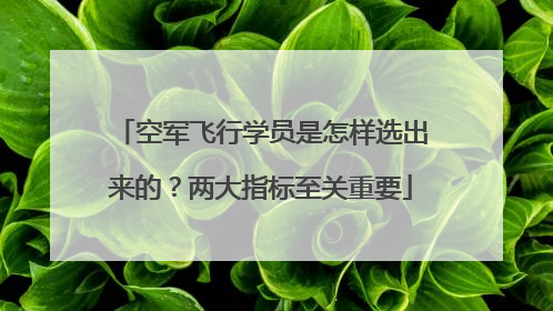 空军飞行学员是怎样选出来的？两大指标至关重要