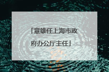 章雄任上海市政府办公厅主任